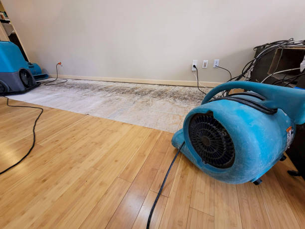 Professional Structural Drying technician working in Mora, MO